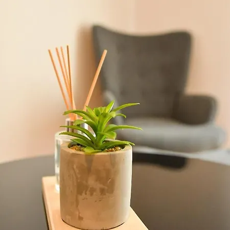 Apartment Center Comfortable