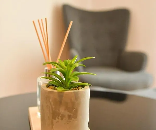 Apartment Center Comfortable